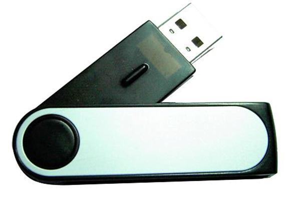 Images de la catégorie Bâtons USB Twister